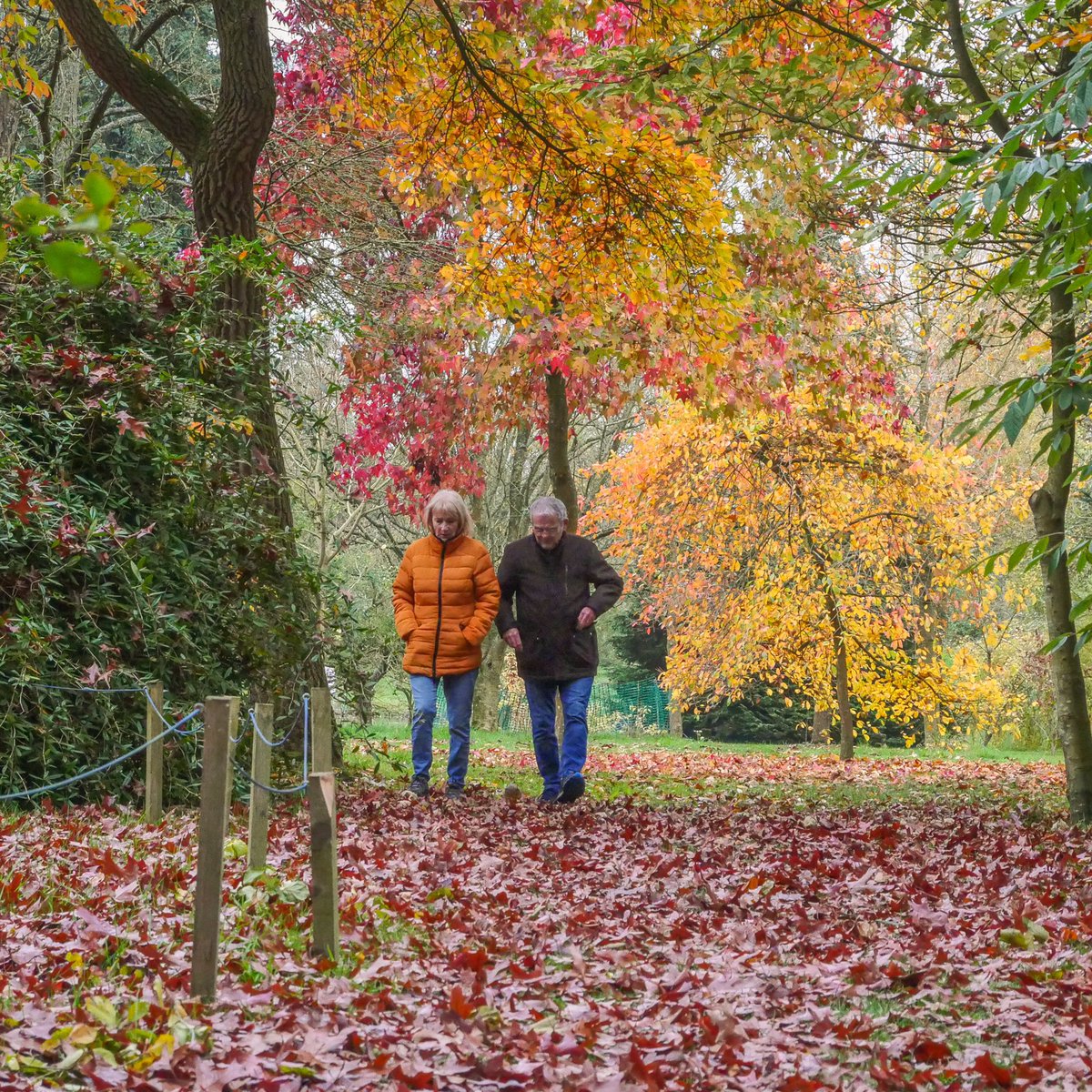 Spetchley Park tweet media