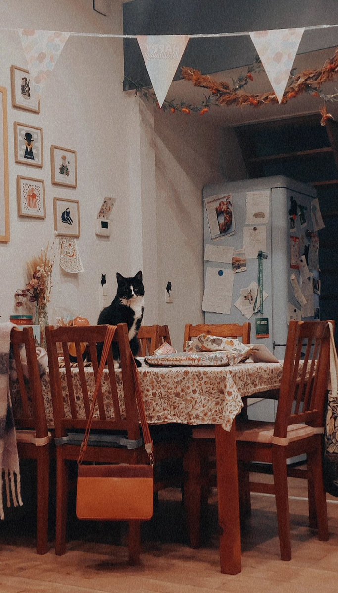 Jeuj, jarig! 
Gevaarlijke waakkat beschermt mijn cadeautjes, raak ze aan &amp; je bent dood!