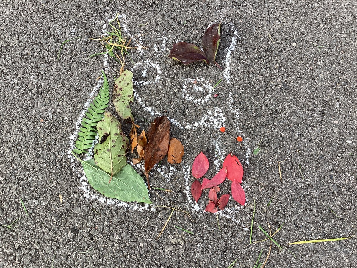 Knightwood Primary tweet media