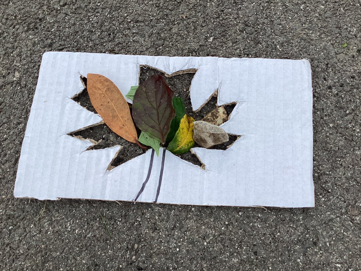 Knightwood Primary tweet media