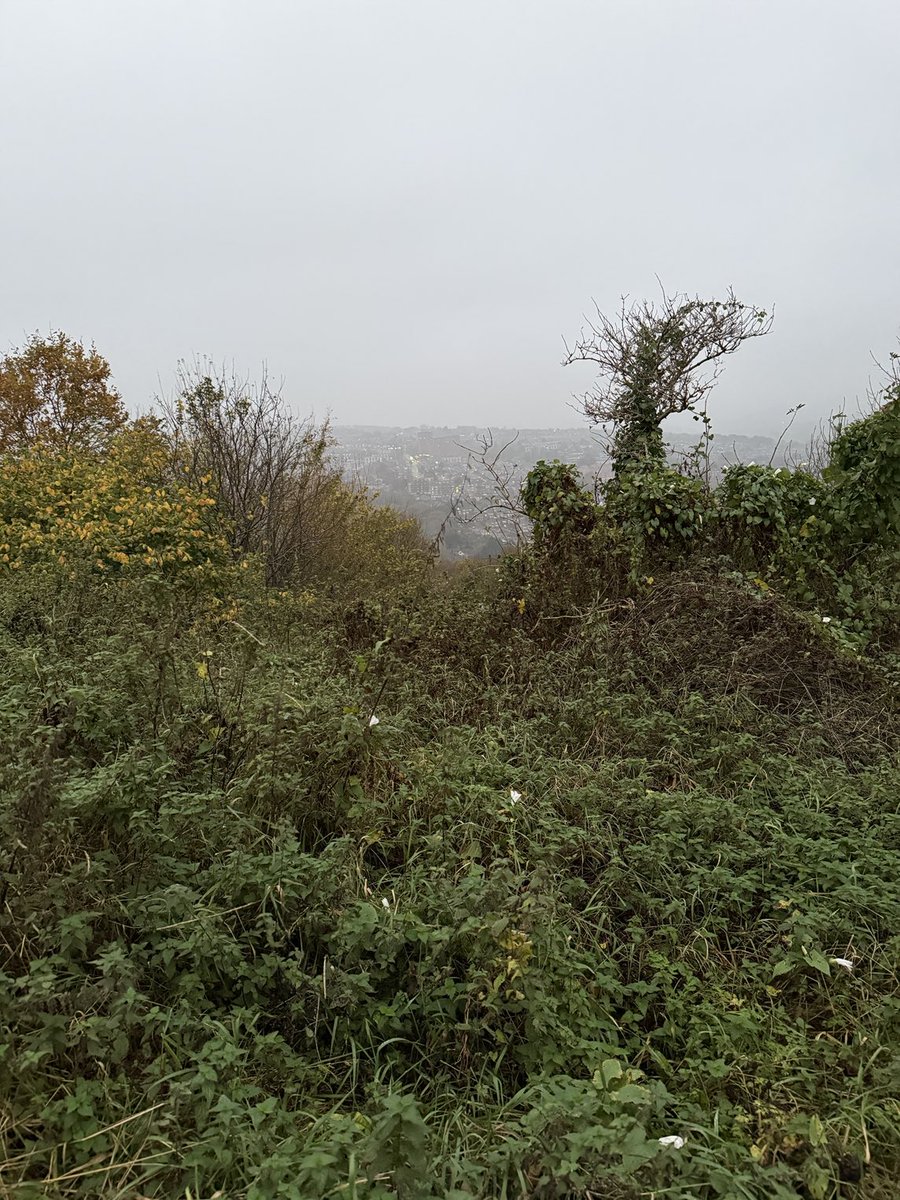staithesartist's tweet photo. Very #Novemberish on my #briskwalk https://t.co/KDzKqQQ6lx