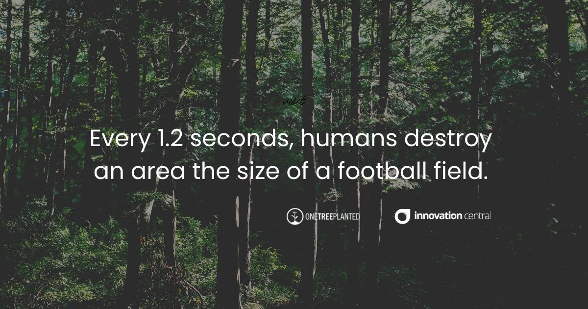 If we don't change now, when will we? 

#InnovationCentral #OneTreePlanted #SustainableLeadership 

📍 Find us buff.ly/40CyuLX