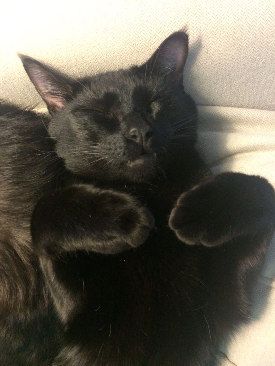 Как же быстро эта дурочка растёт.