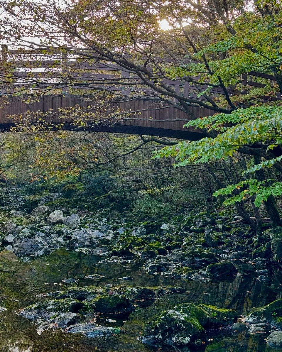 hourlykwj's tweet photo. — 🌿🍃🌳
#CubSelcaDay #CubsSelcaDay #CubsWithWoojin #KIMWOOJIN #김우진 https://t.co/sOTJE5Ar7P