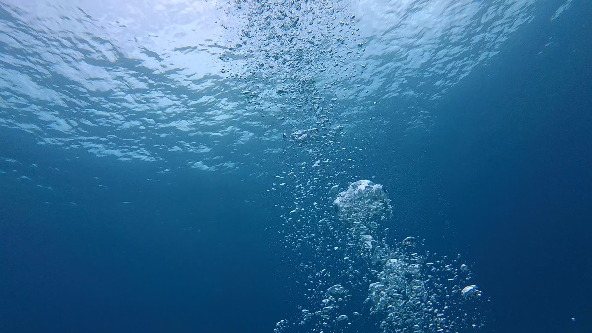 YumiBerrysBraid's tweet image. 宮古島（来間島）で初スキューバダイビング
体験だけど2本潜った！
この日のためにinsta360の #Acepro 買って水中撮影

台風の影響で1日雨予報だけど潜る時は曇りで雨降らずに光も差す時もあって感無量。地球すごい

この青さ、加工なし