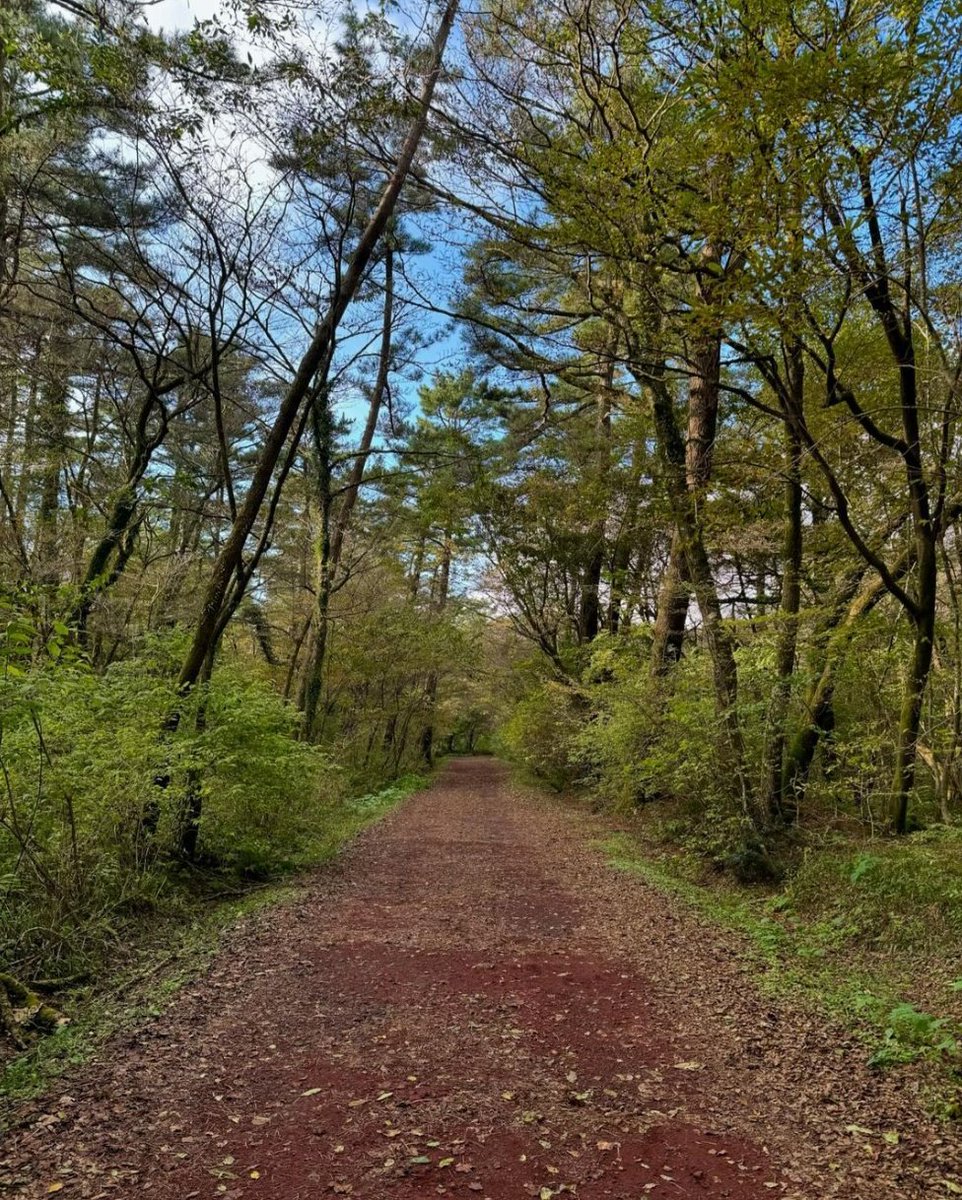 DreamingBearCub's tweet photo. 2 little bears in the woods 🐻💚🐻
#CubSelcaDay #CSD #CubsLoveWoojin #KIMWOOJIN #김우진 https://t.co/wsyRun3Uwn
