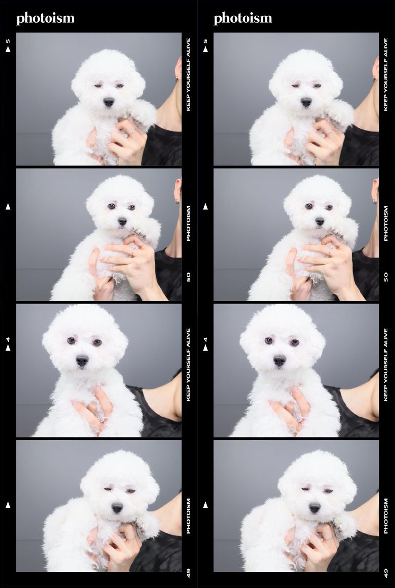 by_EPEX's tweet photo. 우리집 가나디 서밥풀🐶

#EPEX #이펙스 #YEWANG #예왕 #서밥풀 https://t.co/nQxNoY7oLP