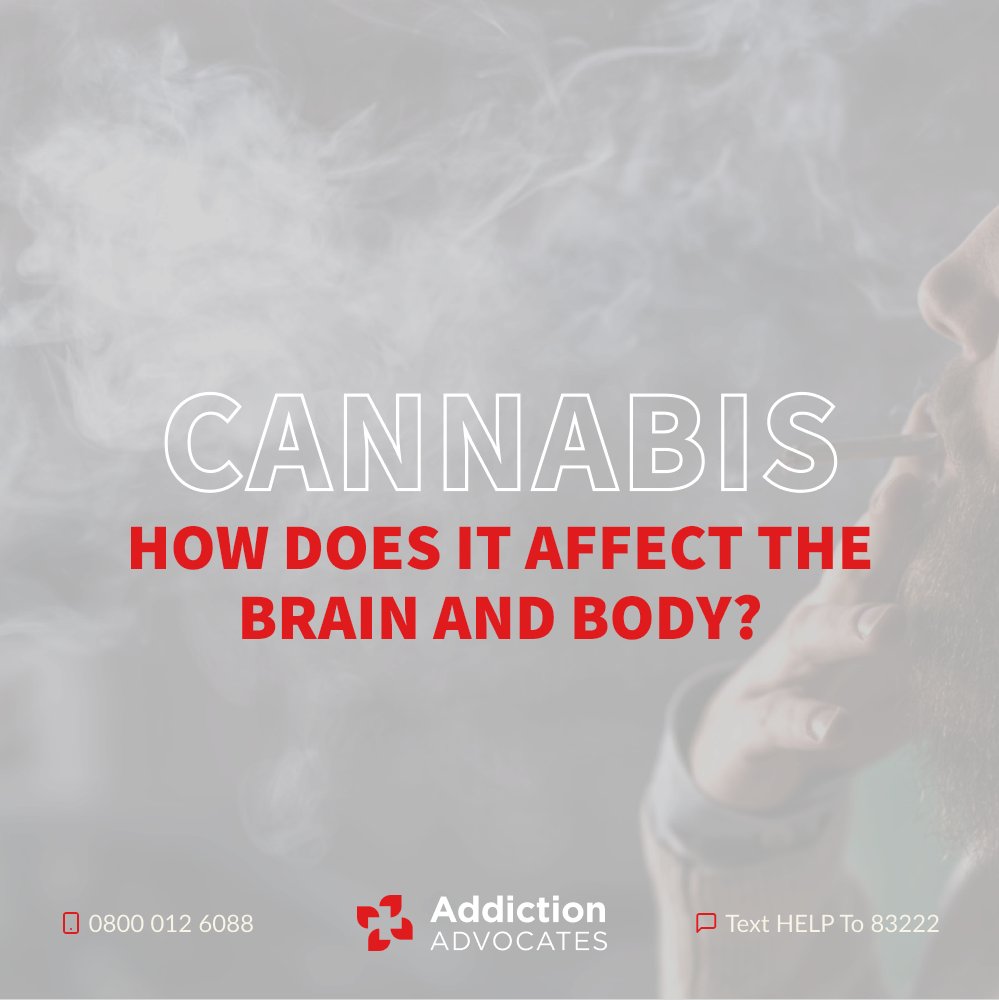 AddictAdvocates's tweet photo. Whilst cannabis is often used recreationally or medicinally, excessive use can lead to dependency and health issues!

If you are struggling with cannabis addiction, we are here to help 🌱

Our recent blog explores Cannabis and the effects on our health https://t.co/W5xe3mh9J0 🤍 https://t.co/ZP23an8S5c