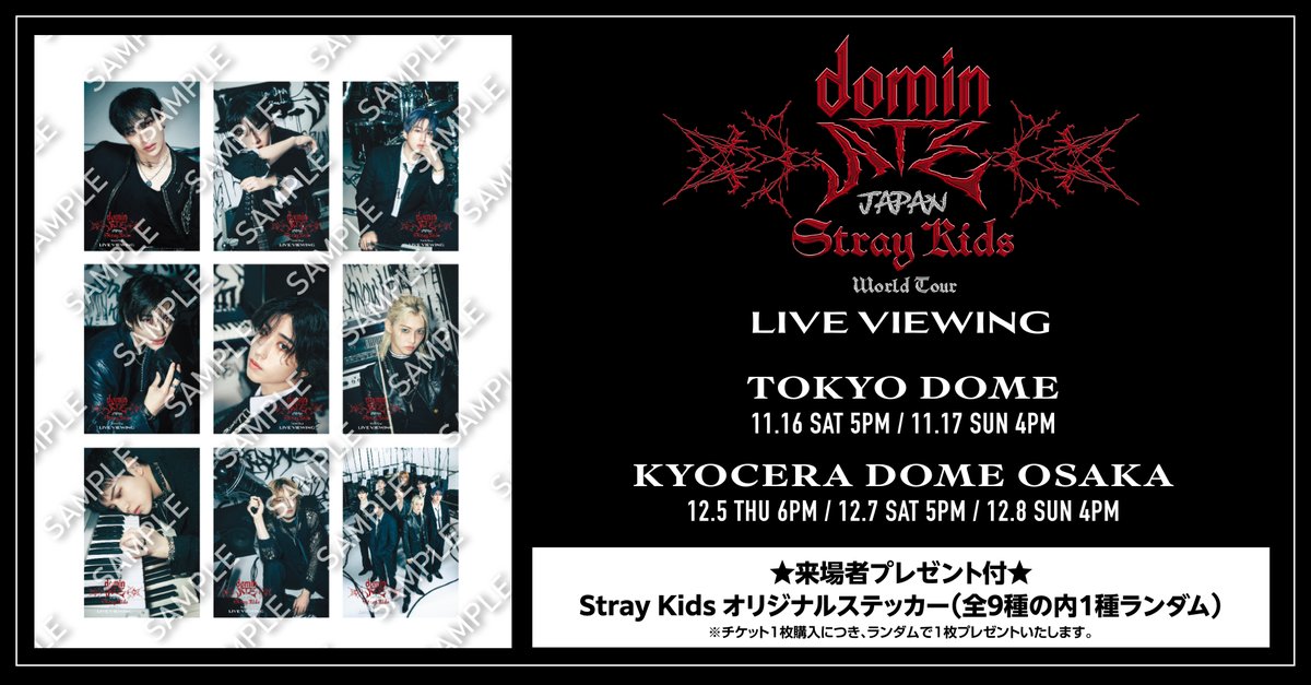 straykids スキズ 京セラ 12/7 ハン トレカ 会場 Stray Kids スキズ 京セラ 会場限定 トレカ ハン - タレントカード低