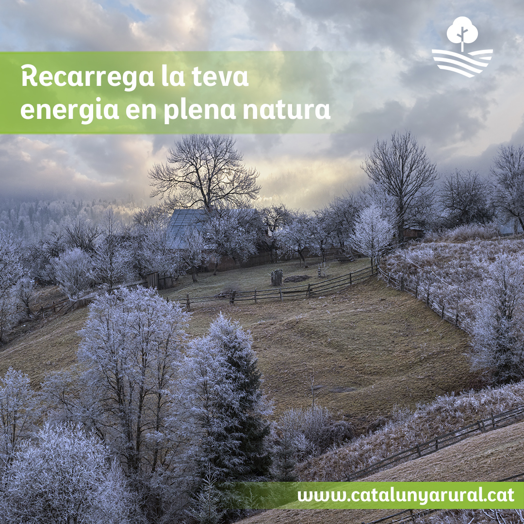 Recarrega la teva força vital enmig de la natura aquest hivern ❄️ Gaudeix de paisatges serens i moments de calma per retrobar la pau interior. Viu una experiència revitalitzant!

Descobreix allotjaments 👉 goo.su/PCPHyUf

#CatalunyaRural #HivernRural