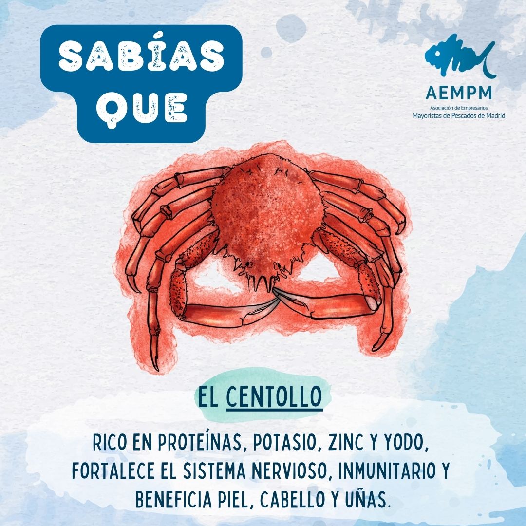 AEMPM_'s tweet photo. #Sabíasque el #centollo es un crustáceo de alto valor nutricional? 🦀 

Rico en proteínas y bajo en grasas, aporta potasio, zinc para el sistema inmunitario y yodo, esencial para el crecimiento y la salud de la piel, cabello y uñas.

#AEMPM #MercadoPescados #Mercamadrid https://t.co/ESNXSsjLbE