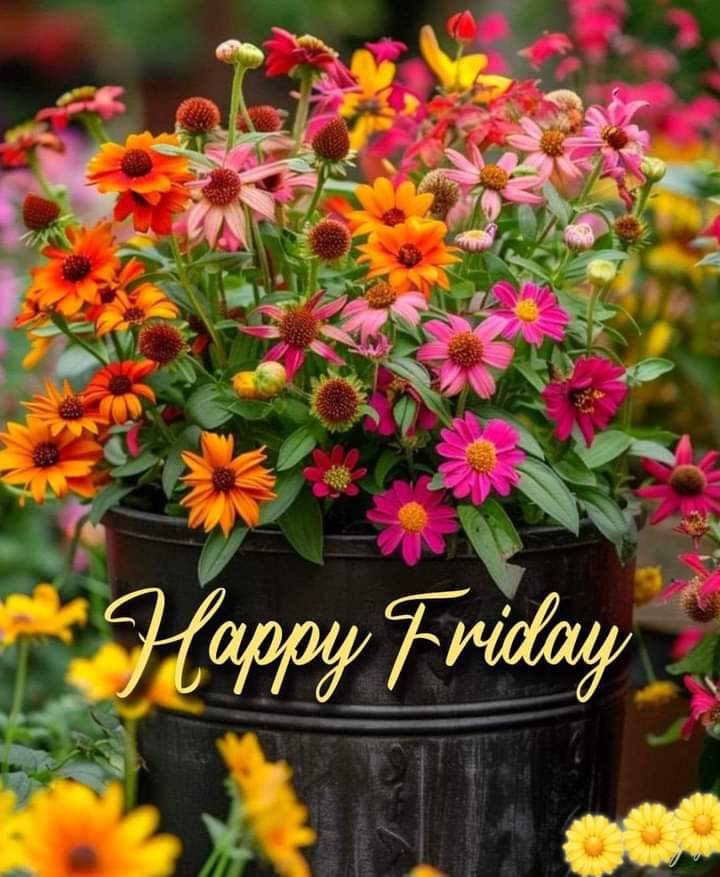 <a href="/InsatiableVVIP/">🔆 V 🔛 LOVE 🔆</a> Have a nice day 🌺☕️💕🍂🍁💐