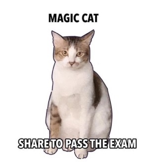 Penso di non averne mai avuto così tanto bisogno 🤞🏻🤞🏻🤞🏻🤞🏻🤞🏻🍀🍀🍀🍀🍀 DAJEEEEEEE