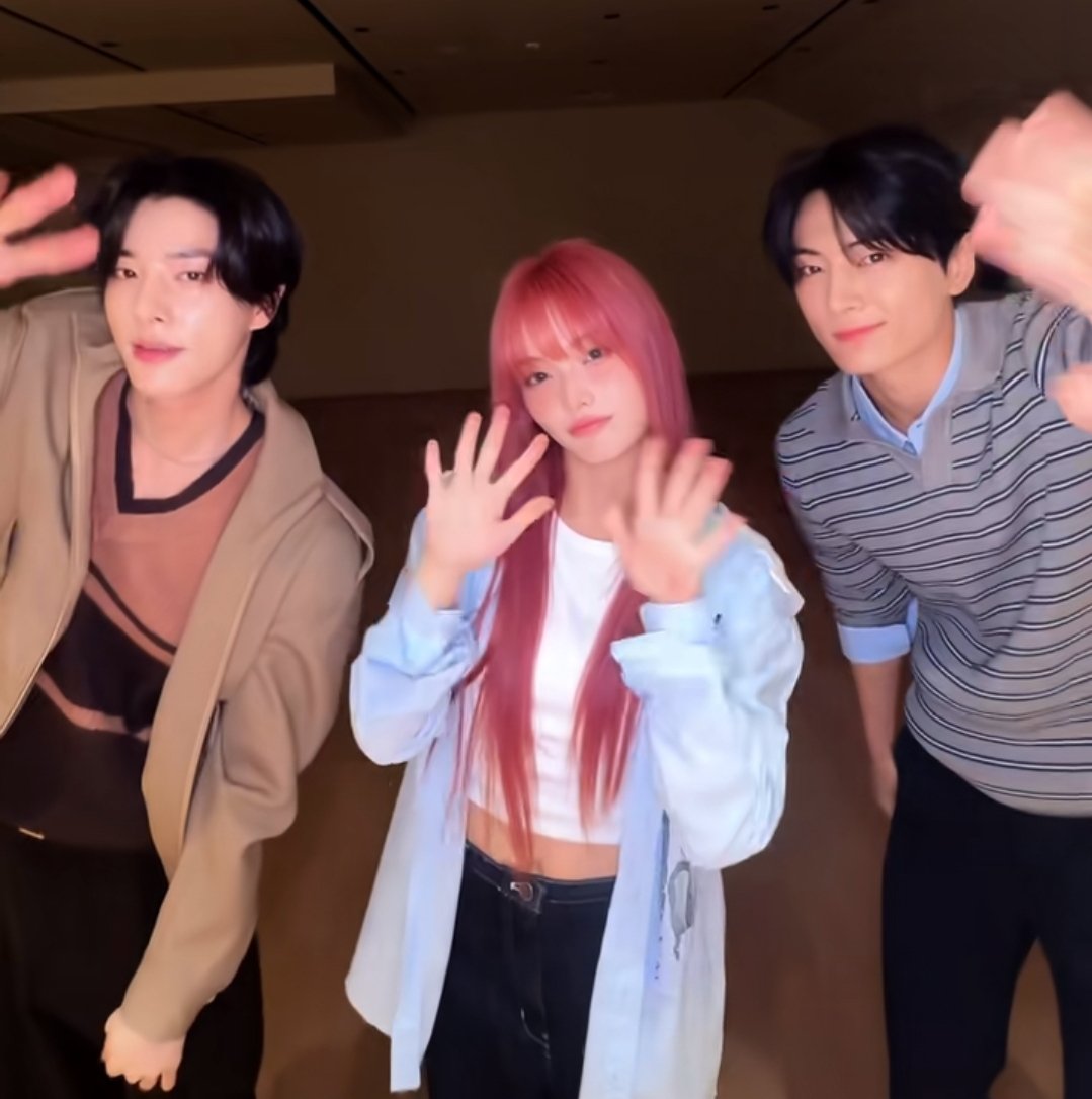 🪴🧸🐛 tweet media