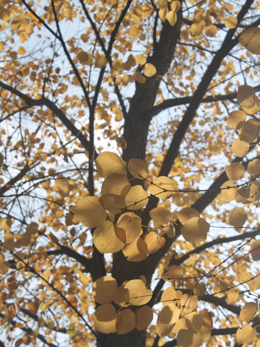 t_NickAkers's tweet image. 