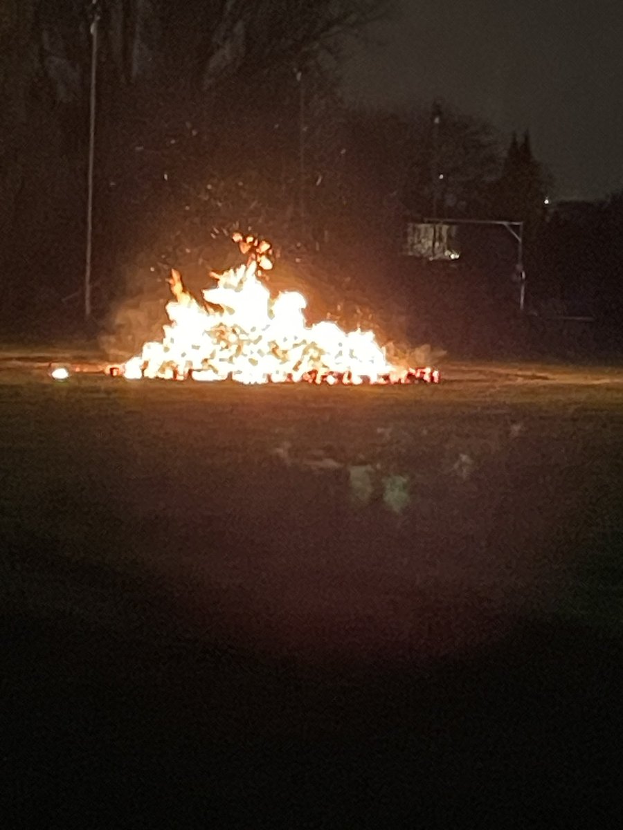 Elspeth Penfold tweet media