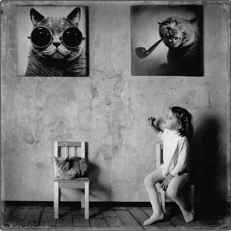 Matilde tweet media