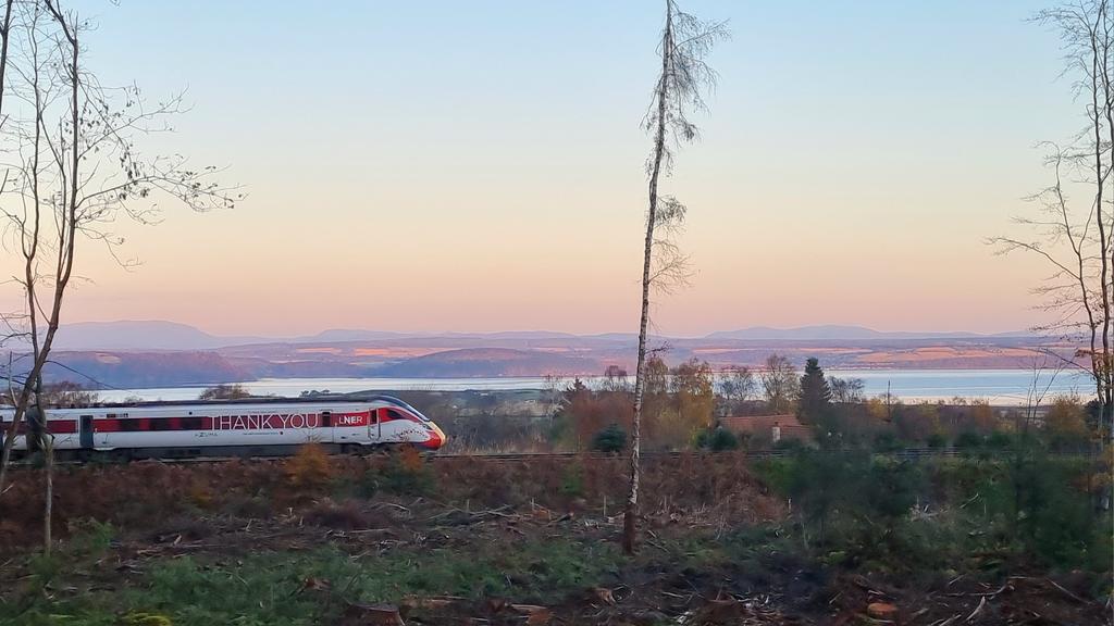 LNER Azuma 800111 l, with #ThankYou poppy vinyls applied, passing through Balloch Woods with 1E13 Inverness to Kings Cross, 08/11/24.
<a href="/LNER/">London North Eastern Railway</a> <a href="/NetworkRailSCOT/">Network Rail Scotland</a> 
#LestWeForget 🌹