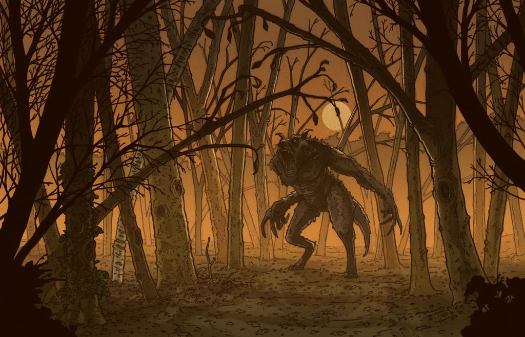 KrakenCove tweet media