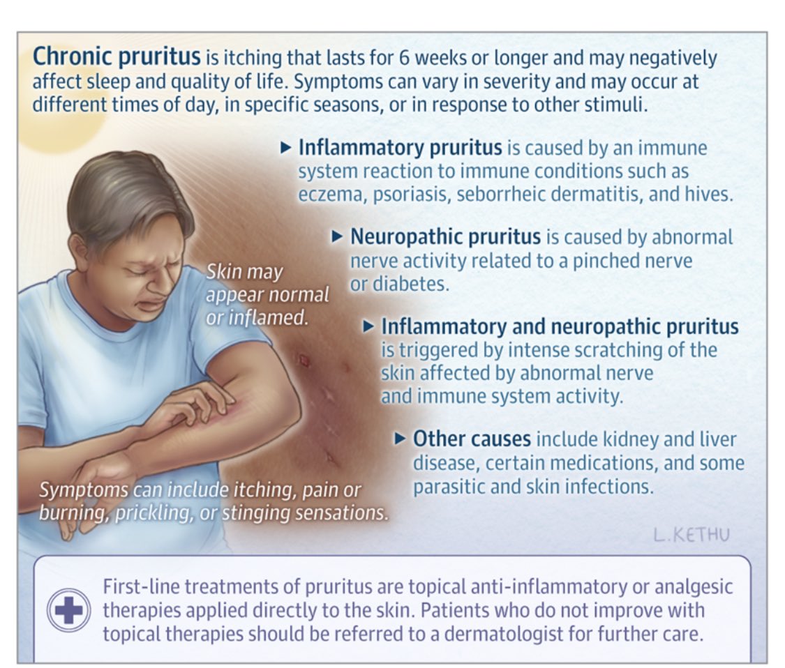 What Is Chronic Pruritus(itching=jeuk)?