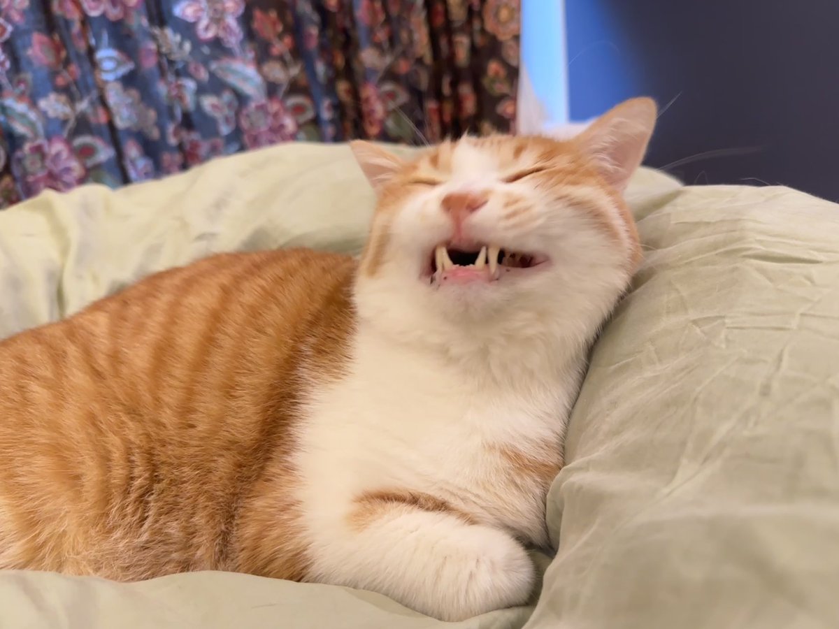 shellymewmew's tweet photo. TGIF https://t.co/OohtenDAib