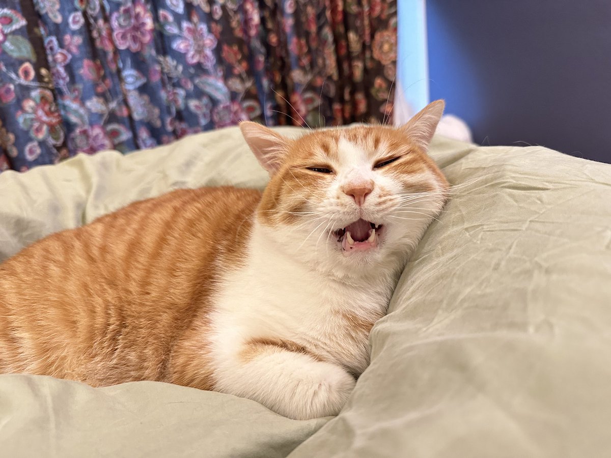 shellymewmew's tweet photo. TGIF https://t.co/OohtenDAib