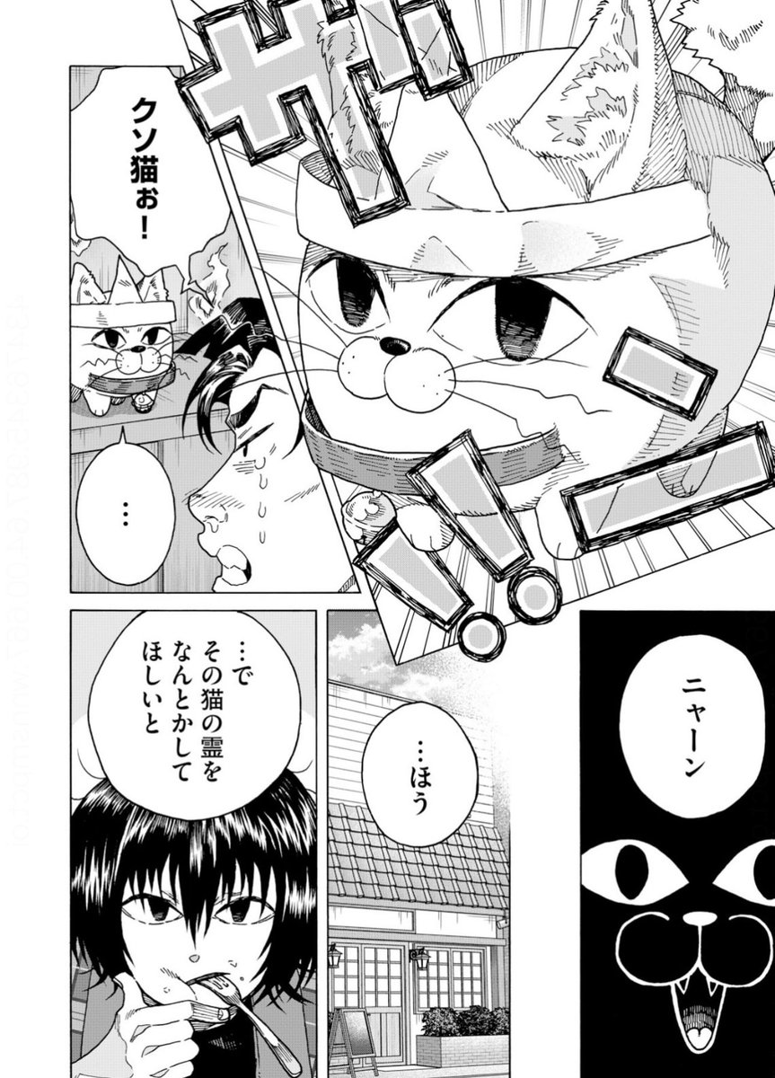 「猫アレルギーの男の家に猫の霊が居着く話」 