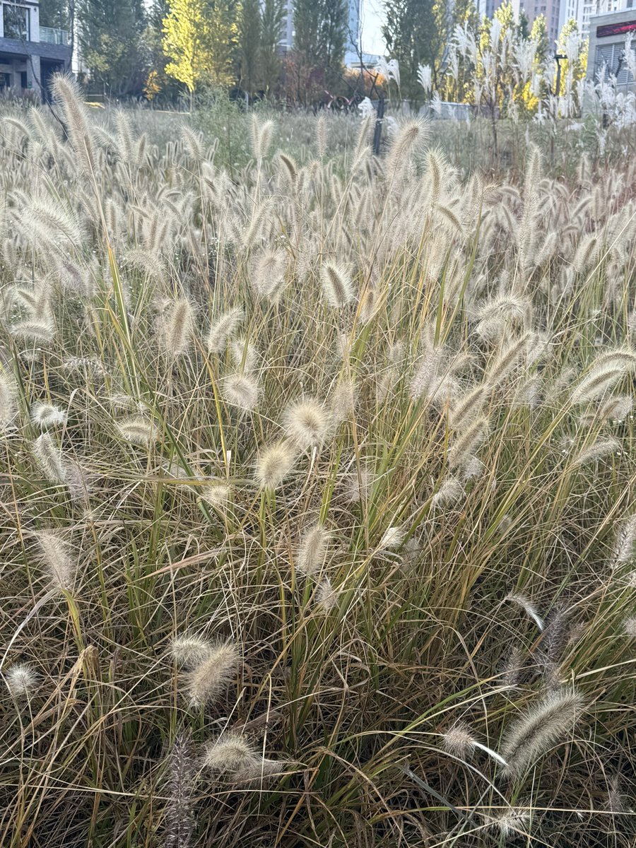 즐거운 아침산책