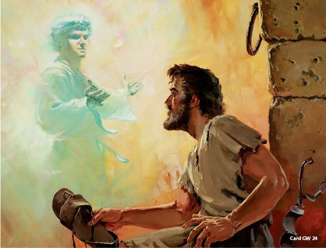 Ao contemplar aquele ser celestial Pedro pensou se tratar de uma visão, mas  ao caminhar por entre os sentinelas sem ser notado, sentiu a cobertura divina, cumprindo-se a promessa: “Cobrir-te-á com as Suas penas, e, sob Suas asas, estarás seguro”||At12:5|| #rpSp