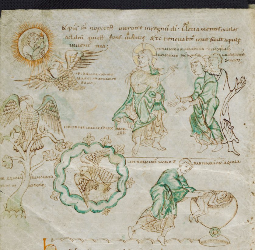 Jan Pauwels (@janpauwelskbr) on Twitter photo Ms. 10066-77 <a href="/kbrbe/">KBR</a>, a 10th-century copy of the ‘Physiologus’ bestiary, on its way to Namur for the exhibition ‘Reflections of the Orient in the Middle Ages: Egypt at the Crossroads of Cultures’
 
F. 144v: the legend of the old eagle soaring to the sun
 
uurl.kbr.be/1332800 Ms. 10066-77 <a href="/kbrbe/">KBR</a>, a 10th-century copy of the ‘Physiologus’ bestiary, on its way to Namur for the exhibition ‘Reflections of the Orient in the Middle Ages: Egypt at the Crossroads of Cultures’
 
F. 144v: the legend of the old eagle soaring to the sun
 
uurl.kbr.be/1332800