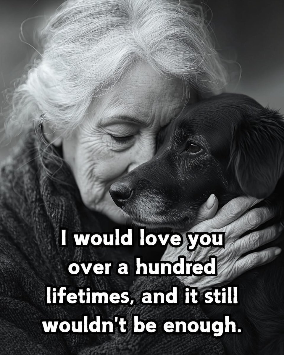 DogLovers03's tweet image. 