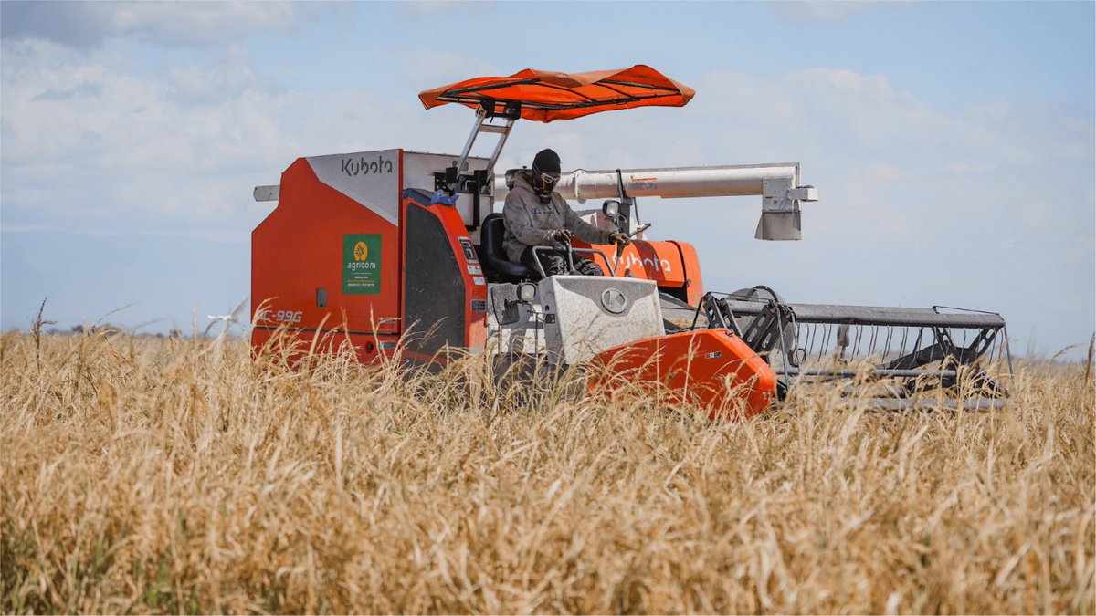 Moses Londo tweet media