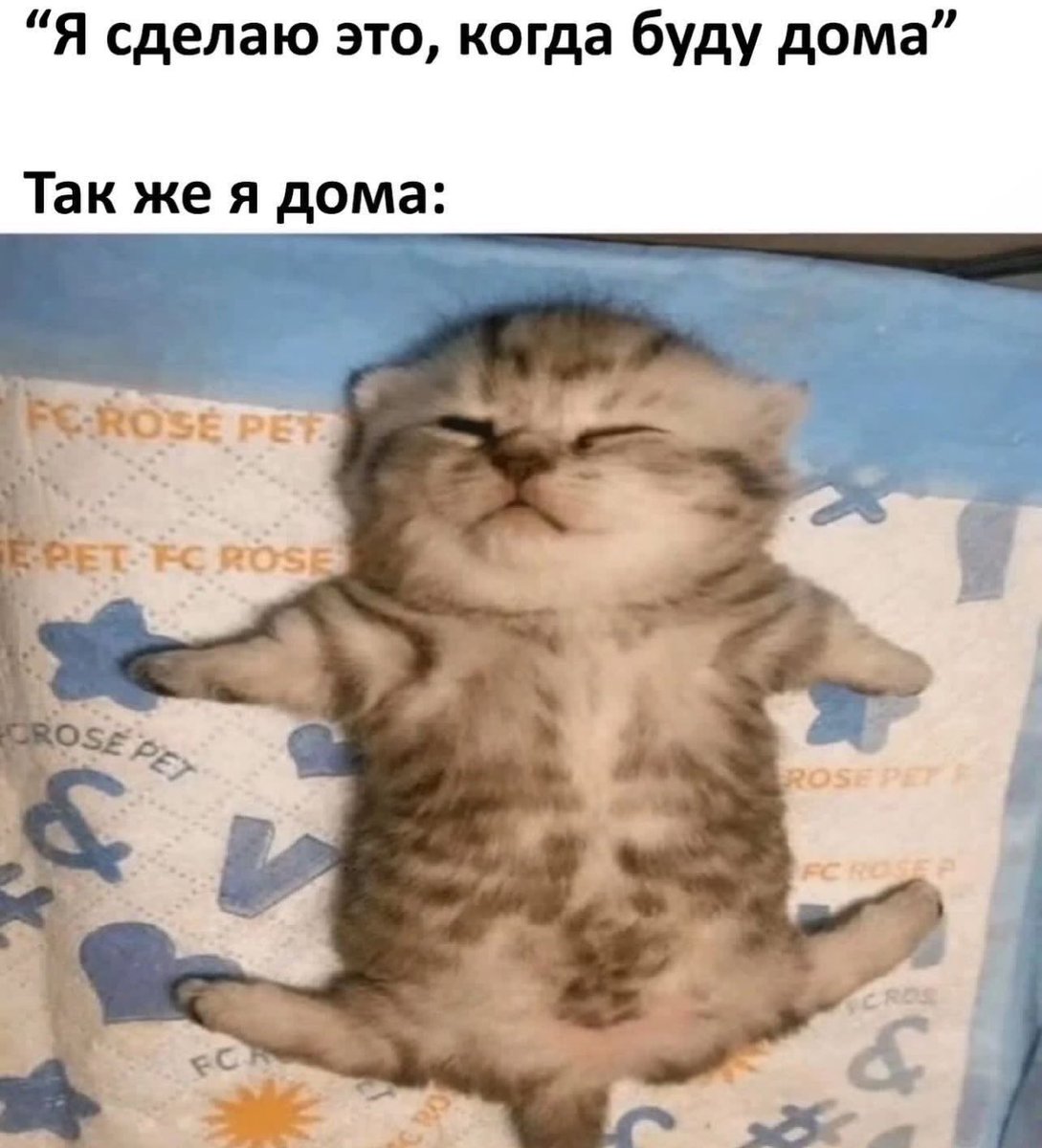 Мы?