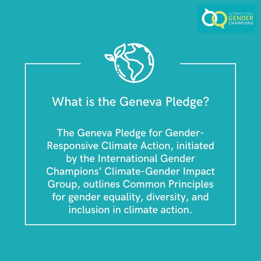 NLinGeneva's tweet photo. Ambassador Paul Bekkers has signed the #GenevaPledge for Gender-Responsive Climate Action. Together with 60+ international Gender Champions and other leaders.

This pledge shows our commitment 🇳🇱 to advance gender equality, diversity, and inclusion in #ClimateActionNow. https://t.co/oPJnZgCpYS