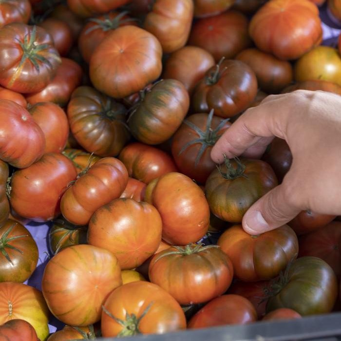 🚨 PUBLIC EXPERIMENT KLAXON 🚨

If you're in Europe, tell me where the tomatoes in your local supermarkets are from right now. 

Post your country > the supermarket company > the country/ies of origin. 

I'll go first:
Spain > Dia > Spain

#food #supplychains #tomatoes #trade