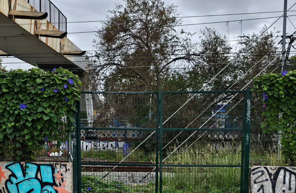 Filo Cañete Carrillo tweet media