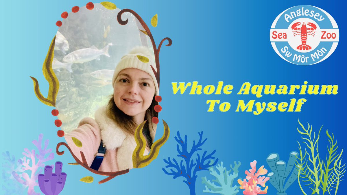 DHopperDiaries's tweet photo. Come on a fun visit to a unique aquarium in Wales with gorgeous views! We see all the animals and visit the shop. Having the aquarium to myself was a bonus!! Vlog up now (channel link in bio) 🐠🦀🦈🐙
https://t.co/0EL6e5VLzV

#angleseyseazoo #anglesey #aquarium #vlog #wales https://t.co/fyPCZCYXcJ