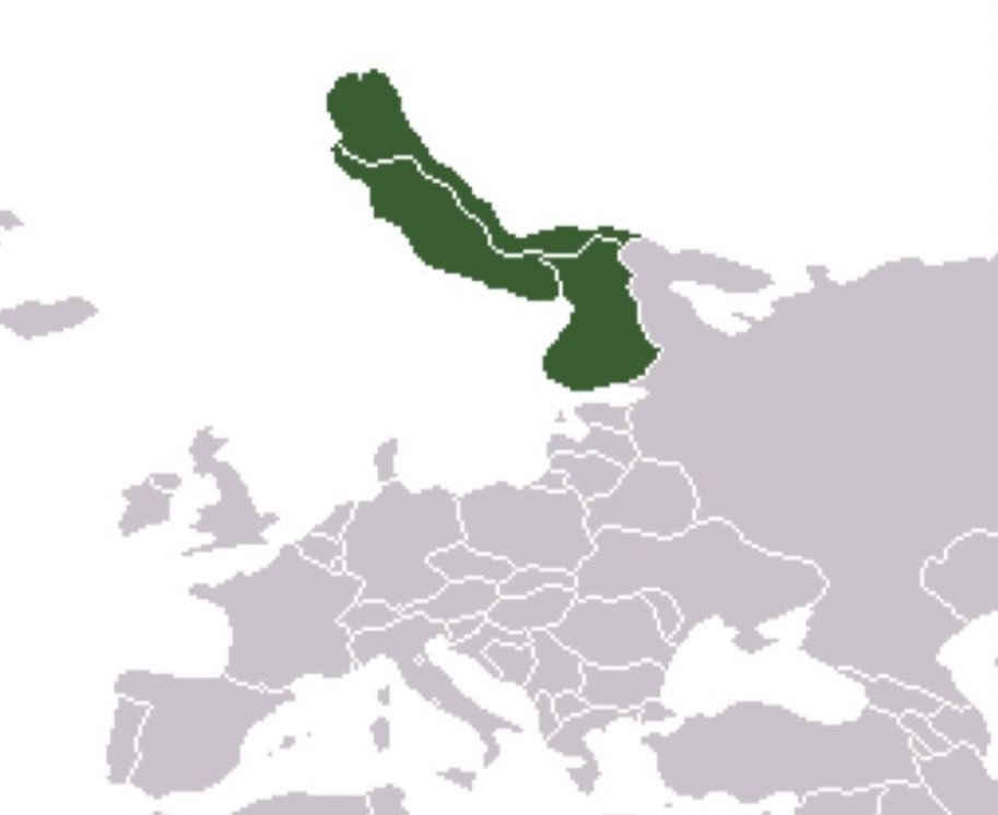 勃起したスカンディナヴィア半島