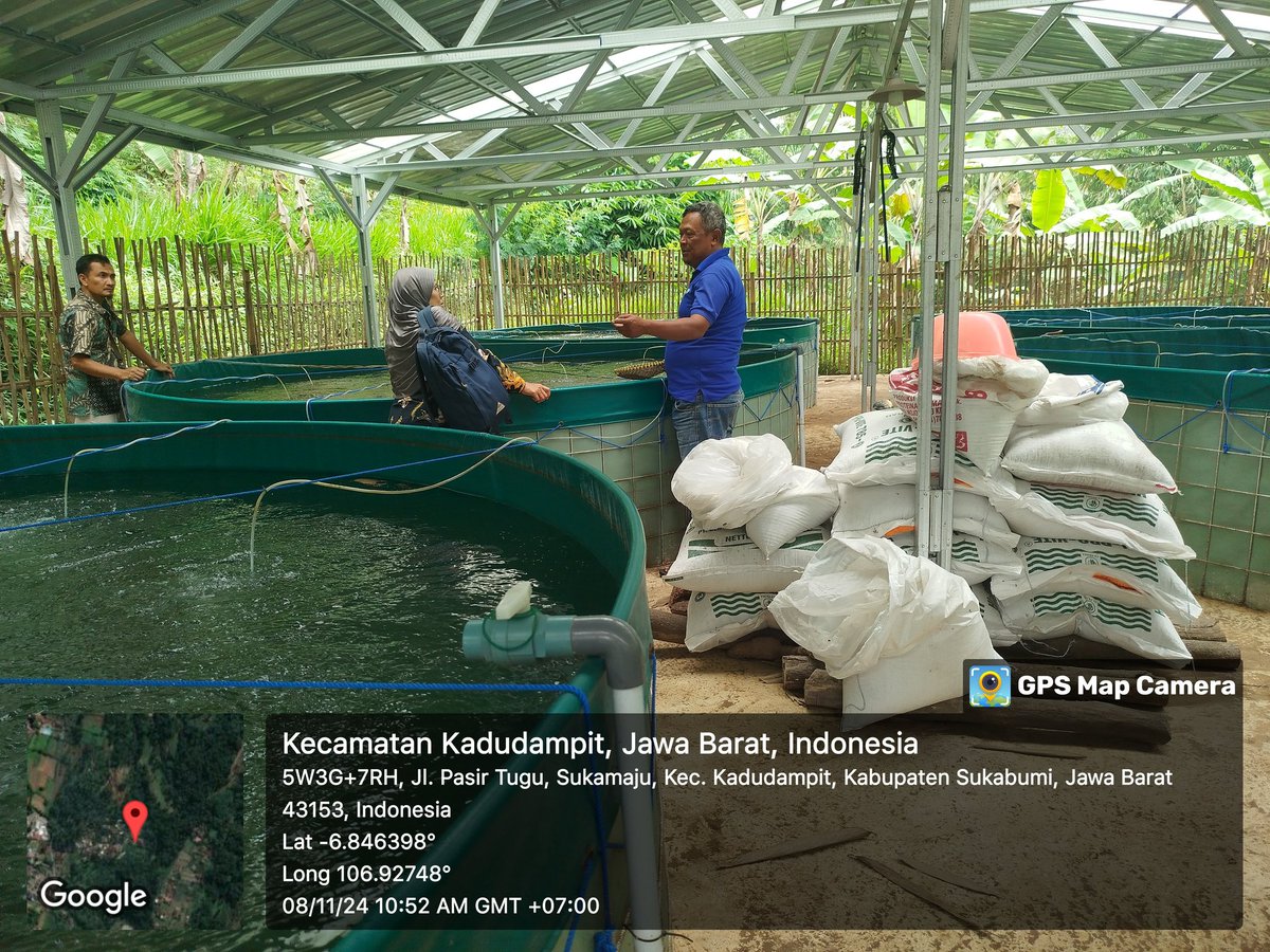 ncisriMuly's tweet photo. Jumat (08/11), Sri Mulyani, Luhkan Kab. Sukabumi, Pokdakan Tirta Fish Farm Ds Gedepangrango Kec Kadudampit,mendampingi tim BBPBAT monev penerima bantuan bioflok #giatluhkansatminkalbogor #skbmi #aktivitas @RislukhanBogor @brpbatpp_bogor @bppsdm_puslatkp https://t.co/B2HS2eSosO