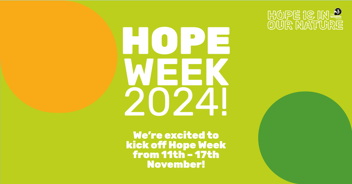 WildlifeTrusts's tweet photo. 🌍✨ Get excited for #HopeWeek2024! ✨🌍
Join us in celebrating hope, positivity, and our connection with nature all week long! 🎉
🎥 Don’t miss our livestream on Sunday, 17th November, packed with music, debates, games, and more.
Register now 👉 https://t.co/H2wT6h8iYJ https://t.co/cYqShYbv4x