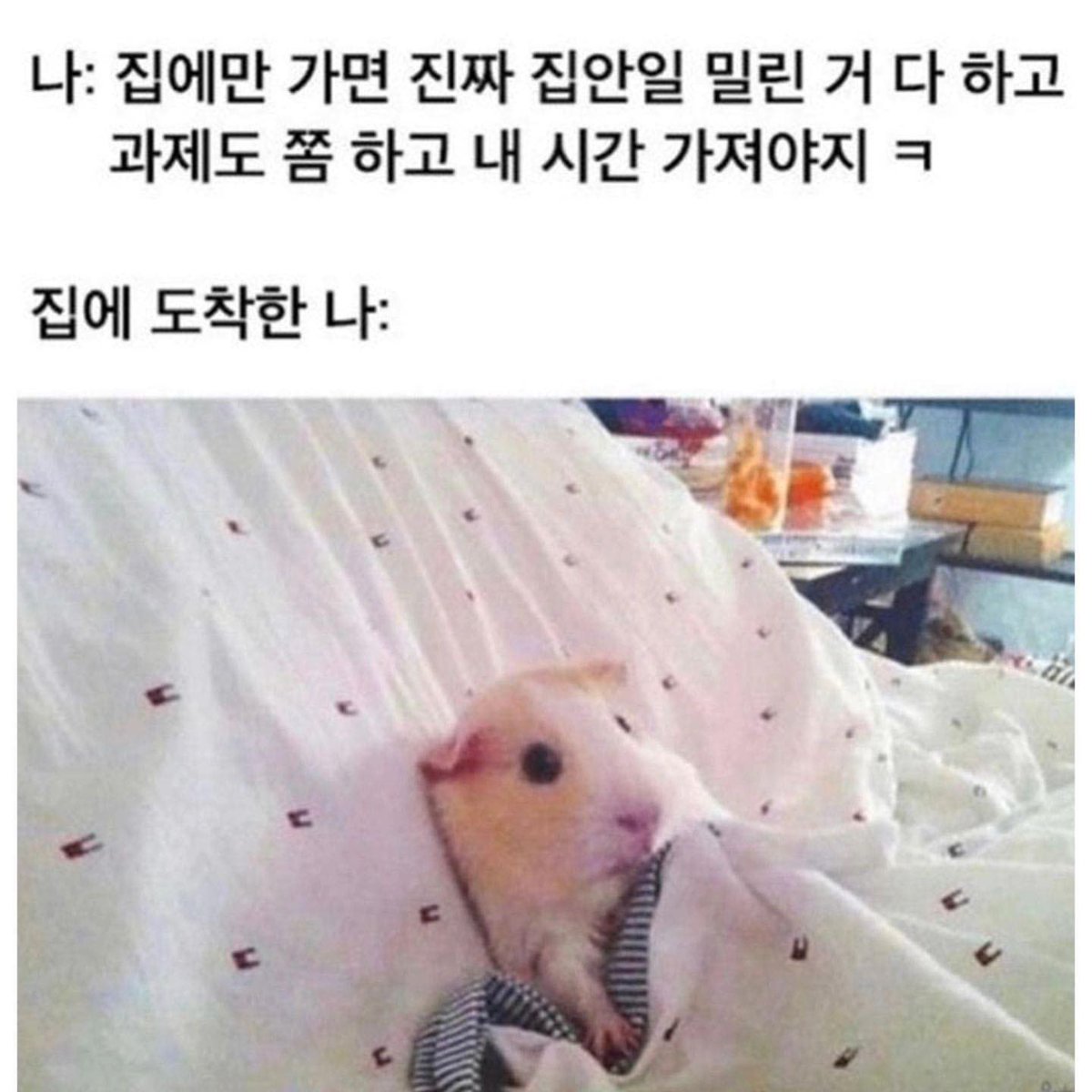 ee_drip's tweet photo. https://t.co/L3yidXqlCw