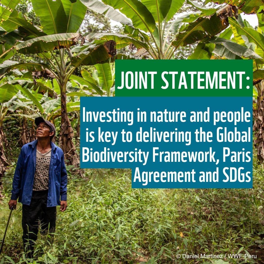 Investment in nature must remain a top priority in EU external programmes 🌱

In the next Multiannual Financial Framework, the EU must acknowledge nature's role in supporting communities, economies &amp; tackling climate change

Read our statement 👉wwf.eu/wwf_news/media…