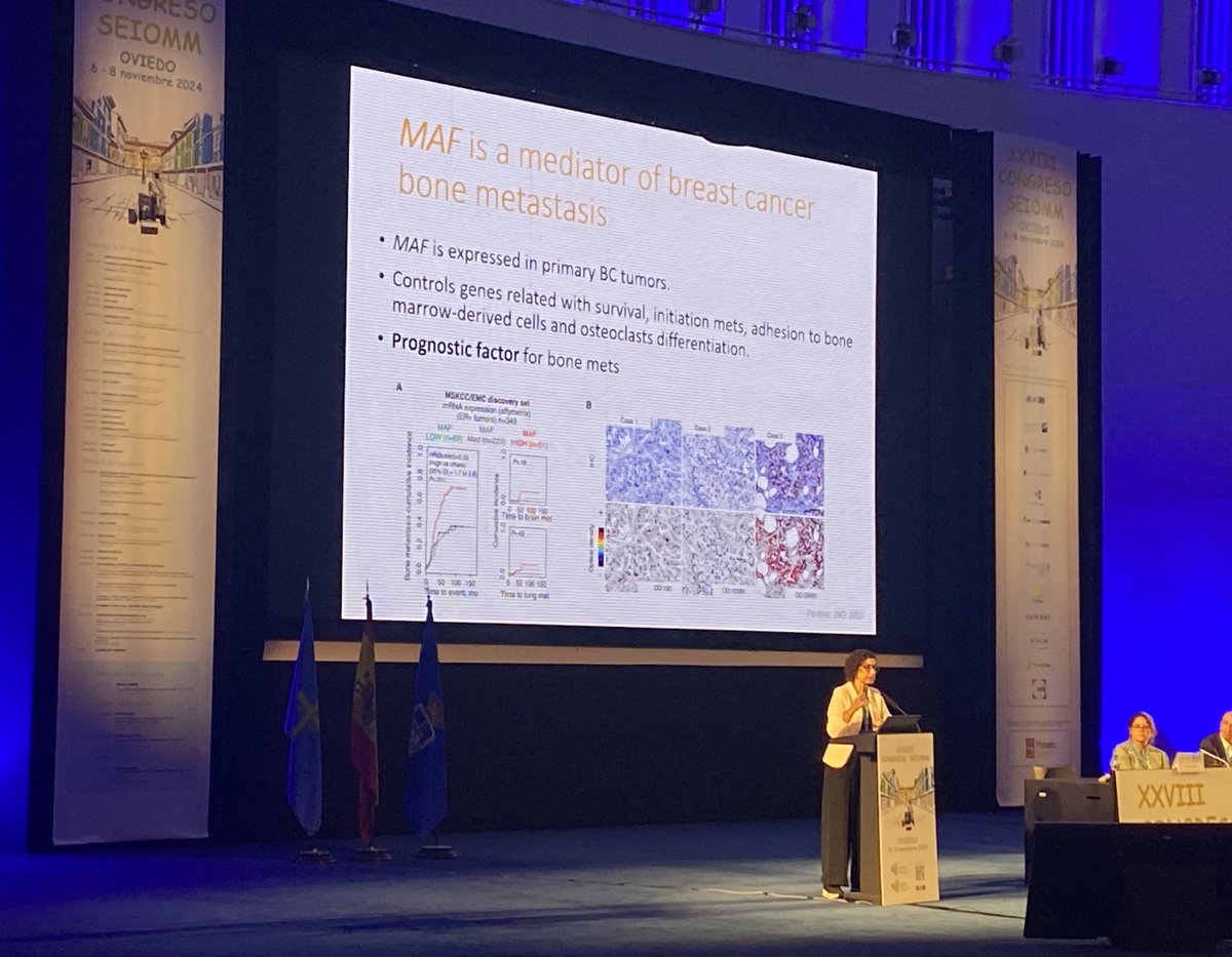 laiagifre1's tweet photo. Impressionante la mesa de “cancer y hueso” de #CongresoSEIOMM: nicho metastásico, valoración/contraindicación de anabólicos en pacientes oncológicos (diferenciando M1 blásticas) y potencial utilidad de MAF para identificar mujeres con ca. mama candidatas a bisfosfonatos (MAF-) https://t.co/15dO6uvoh6