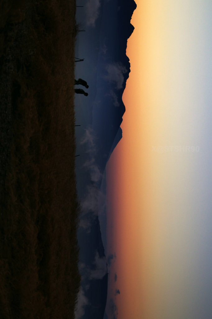 Satoshi Photography tweet media
