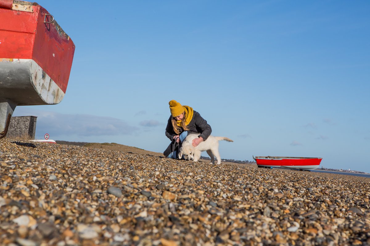 thesuffolkcoast's tweet photo. Suffolk’s coastline has plenty of spots where dogs can play, dig and splash until their heart’s content!

Check out our pick of the best dog-friendly beaches along the Suffolk Coast for you and your pup to enjoy this winter... ❄️👉 https://t.co/Lqqb3AIFxV

#DogFriendly https://t.co/mnUdKSjre2