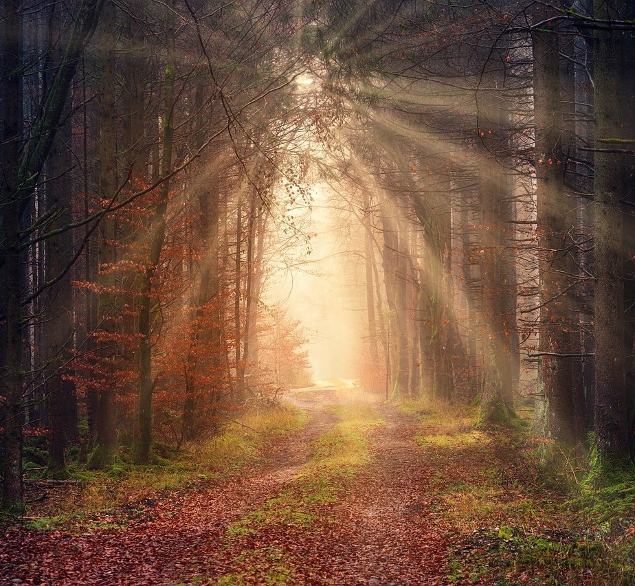 "The days are getting shorter and colder, but I ask you to remember: even as the Winter comes in, there is Hope and there is Light."
   ~ Seamus Heaney