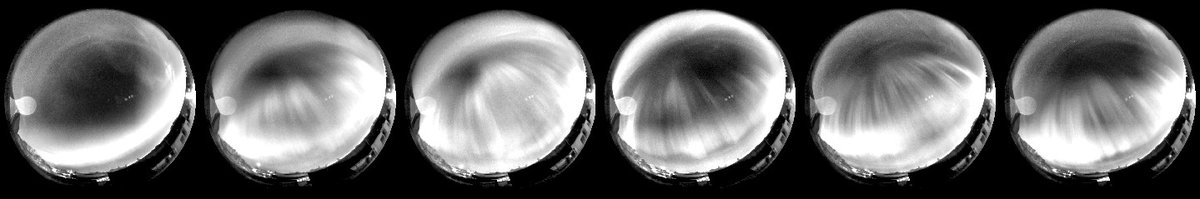 UK Fireball Alliance (@uk_fireball) on Twitter photo Stunning images of the recent aurora events captured by our #fireball cameras at @EarthSolarSystem <a href="/RHULEarthSci/">RHUL Earth Sciences</a>, processed by <a href="/ardsmedley/">Andy Smedley</a>
<a href="/SCAMP_Meteors/">SCAMP - a component of the FRIPON network</a> & <a href="/UK_Fireball/">UK Fireball Alliance</a> cameras monitor the sky, helping us to learn about the formation of the Solar System and recover #meteorites Stunning images of the recent aurora events captured by our #fireball cameras at @EarthSolarSystem <a href="/RHULEarthSci/">RHUL Earth Sciences</a>, processed by <a href="/ardsmedley/">Andy Smedley</a>
<a href="/SCAMP_Meteors/">SCAMP - a component of the FRIPON network</a> & <a href="/UK_Fireball/">UK Fireball Alliance</a> cameras monitor the sky, helping us to learn about the formation of the Solar System and recover #meteorites