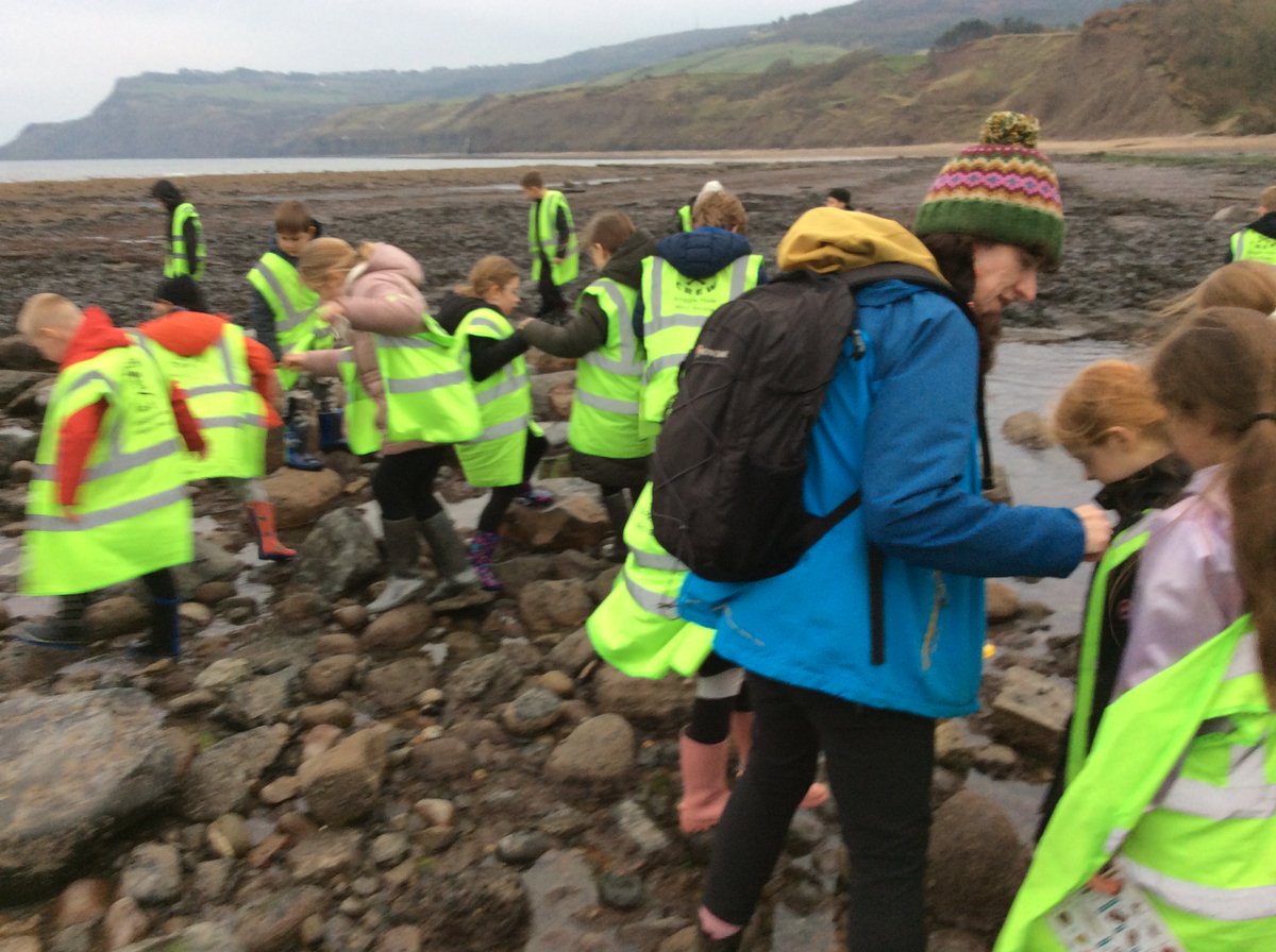 Reignhead (Beighton) tweet media