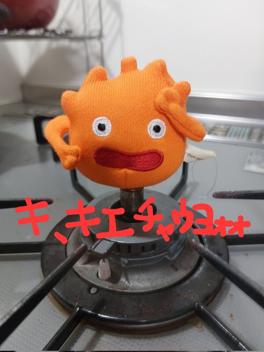 ぴょんきち tweet media