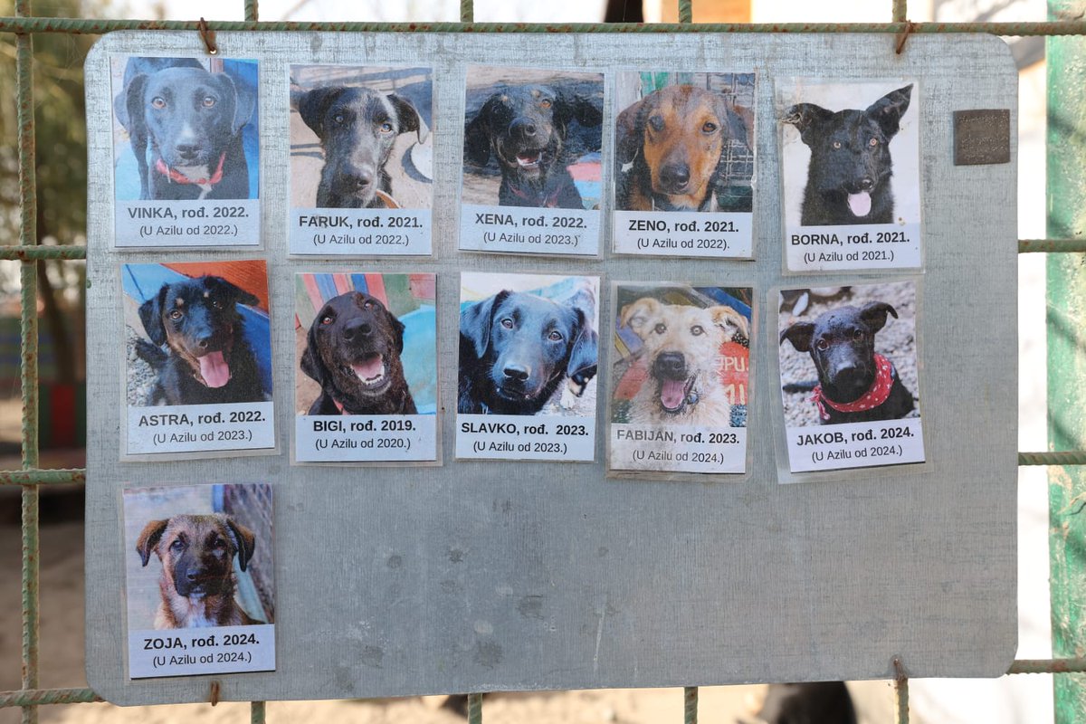 Osječki azil za napuštene pse prvi u Hrvatskoj dobio podno grijanje 🔗osijek.hr/osjecki-azil-z…
